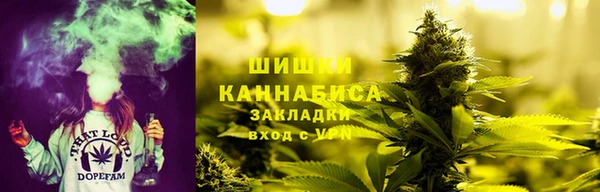 сатива Киреевск