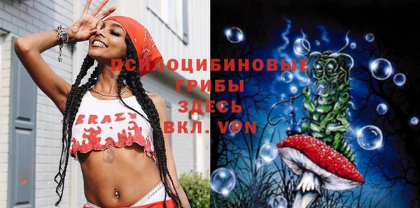 сатива Киреевск