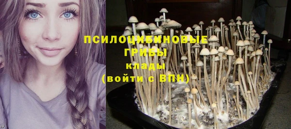 сатива Киреевск