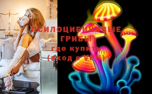 сатива Киреевск