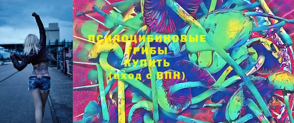 сатива Киреевск
