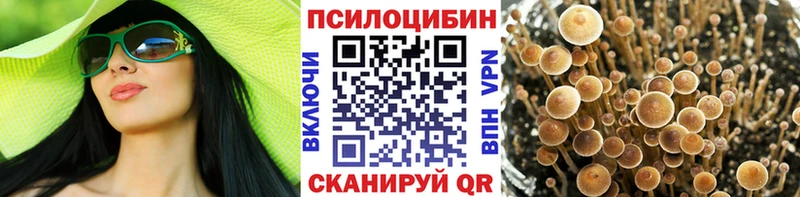 где можно купить наркотик  площадка официальный сайт  Галлюциногенные грибы Psilocybine cubensis  Арзамас 